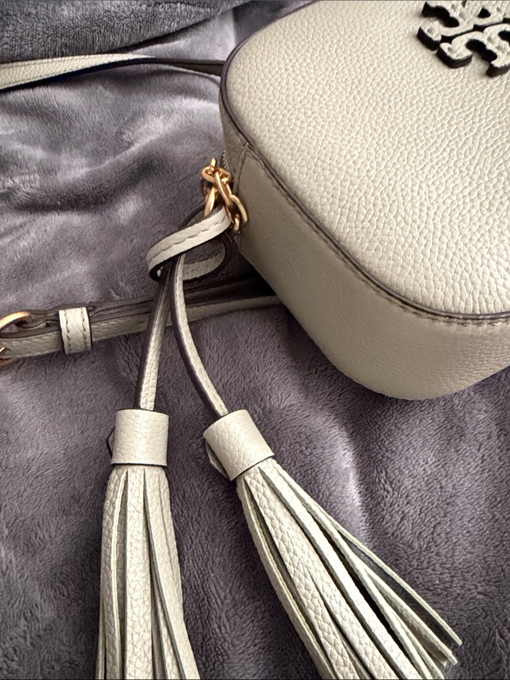 Tory Burch Light Green Leather Crossbody with Gold Hardware - Picture 5 of 5